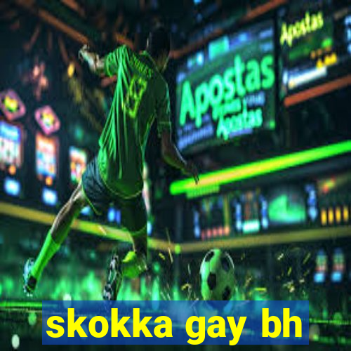 skokka gay bh